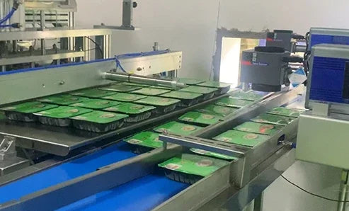 Hygine Vacuum Plastic Skin Pack Machine Tray Sealer Packaging Machine for Food Seafood