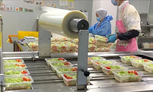 Hygine Vacuum Plastic Skin Pack Machine Tray Sealer Packaging Machine for Food Seafood