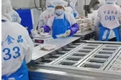Hygine Vacuum Plastic Skin Pack Machine Tray Sealer Packaging Machine for Food Seafood