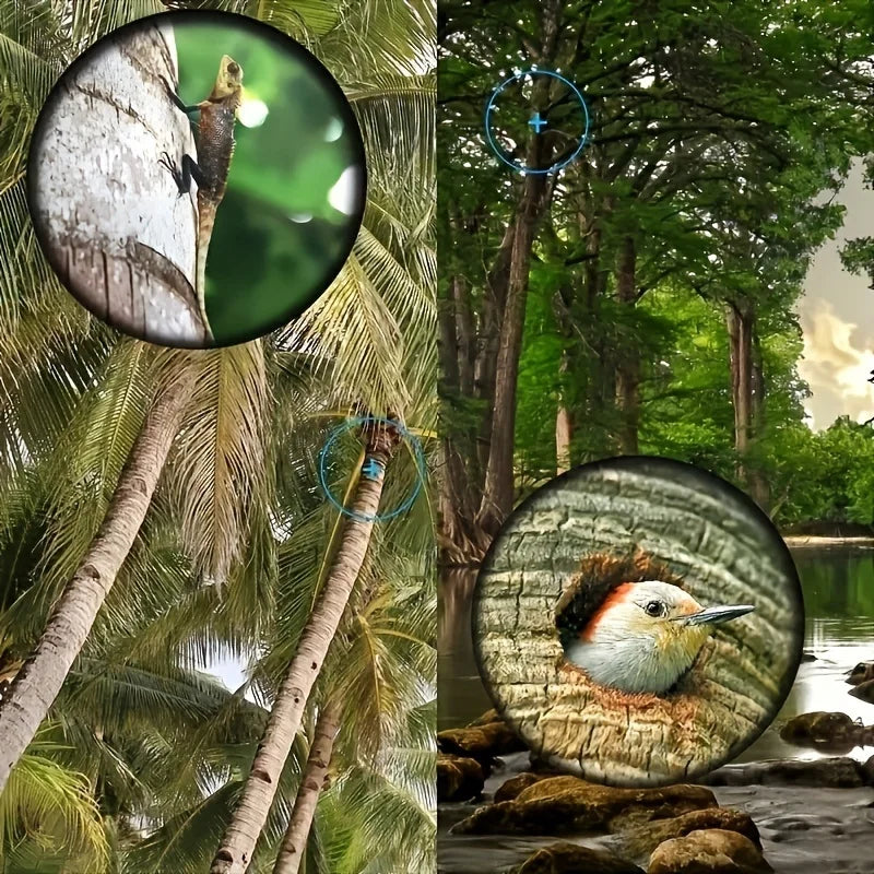 10X25 High-definition Monocular Telescope, a mini portable telescope, is suitable for outdoor camping, hunting, and bird watchin
