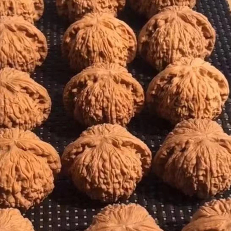 Palm Massage Chinese Walnuts A Pair Of Natural Wenwan Walnut Handball Health Care Grip Ball  Elderly Gift Massage Gadget