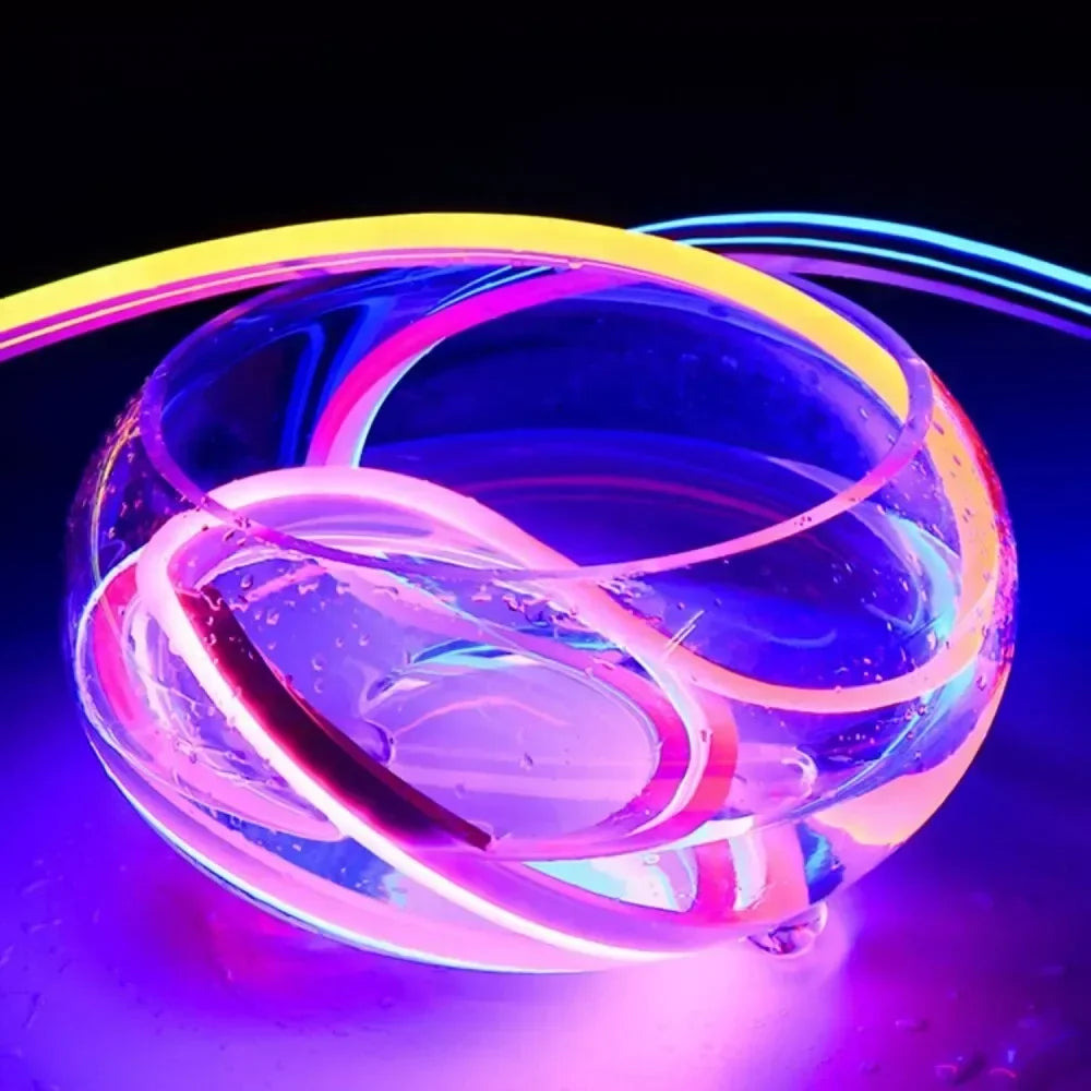 RGB Neon LED Strip 24key Remote Control Music Sync Power Waterproof Decor Remote Control Flexible Ribbon for Home Decor Lighting