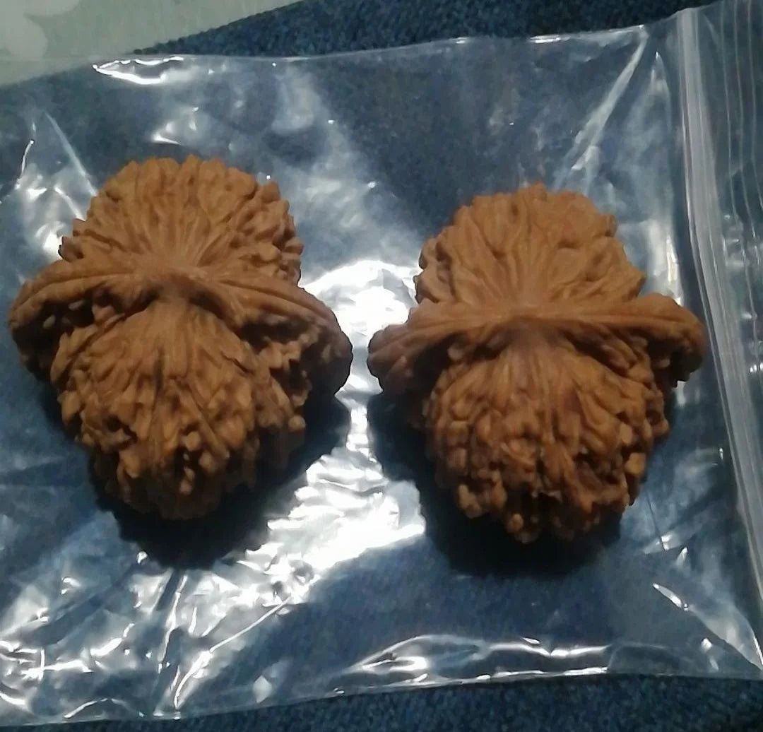 Palm Massage Chinese Walnuts A Pair Of Natural Wenwan Walnut Handball Health Care Grip Ball  Elderly Gift Massage Gadget