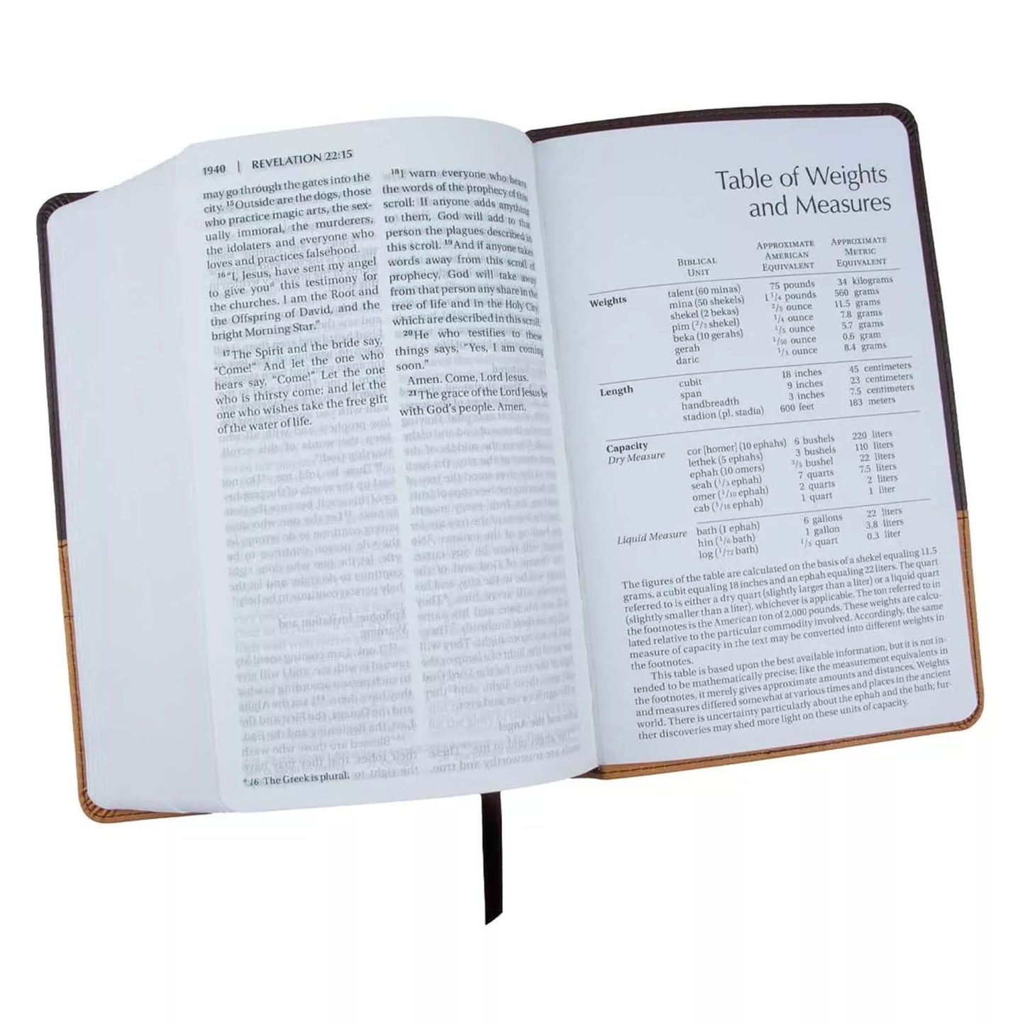 HOLY BIBLE NIV