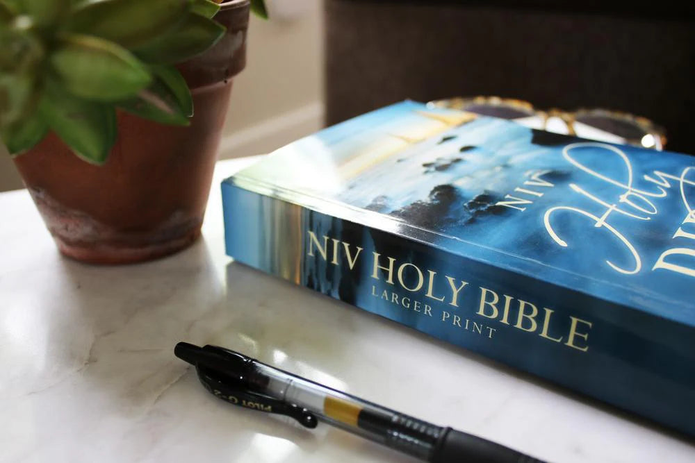 NIV, Holy Bible, Larger Print, Economy Edition, Paperback, Comfort Print